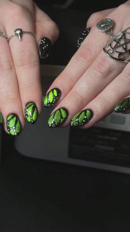 Butterflies