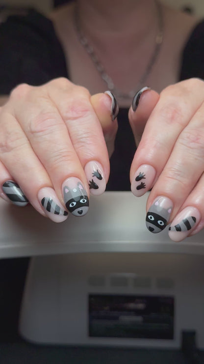 Raccoons